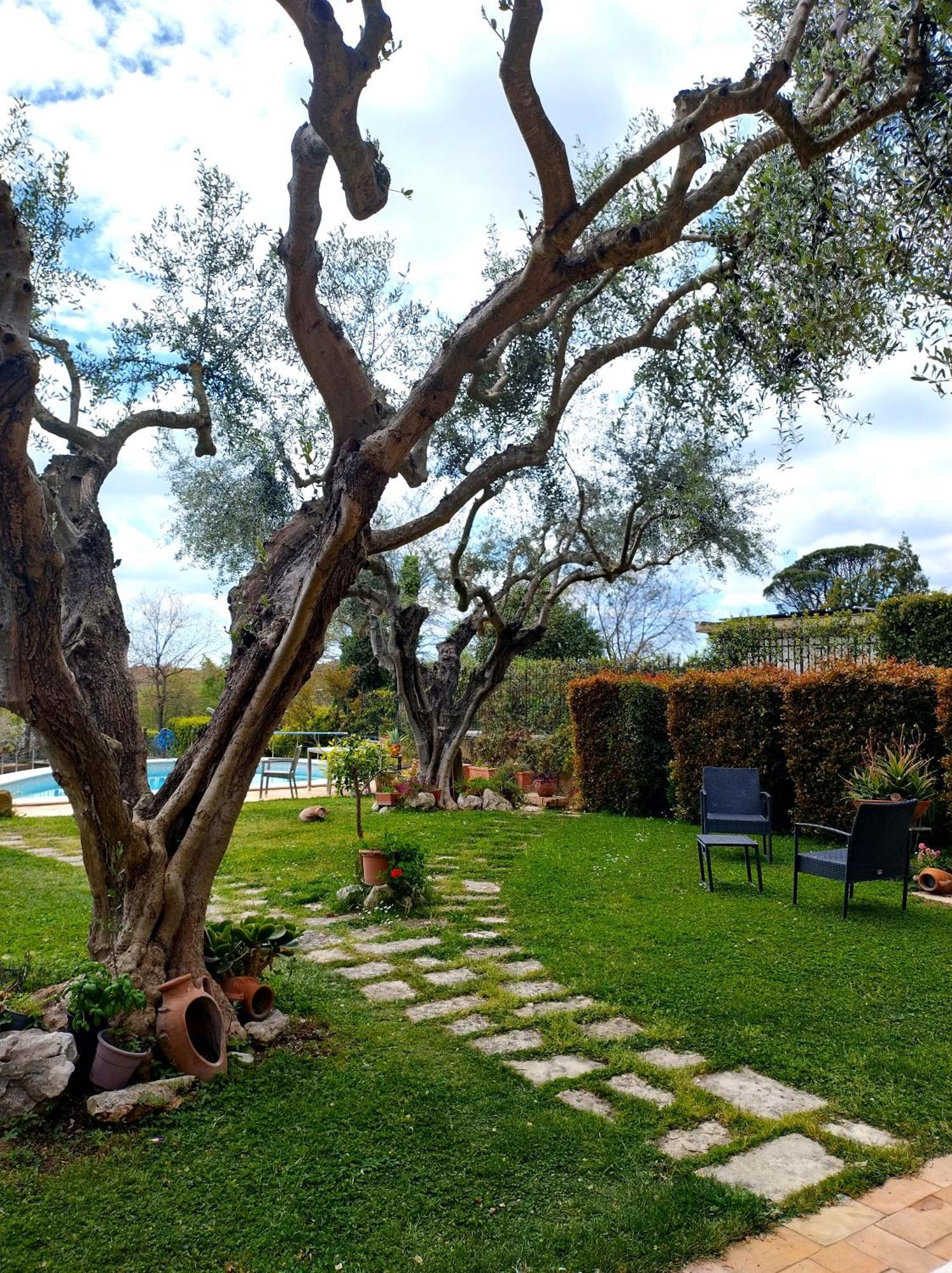 La Valle Dei Casali Con Piscina E Natura A Acomodação com café da manhã  Roma