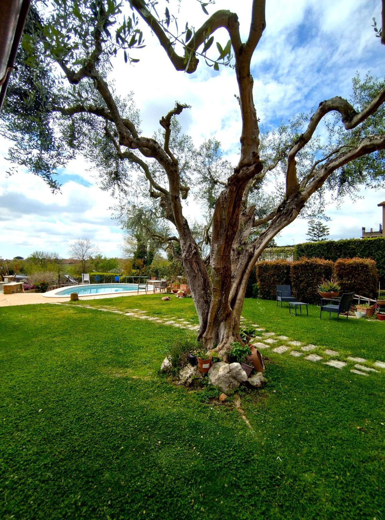 Acomodação com café da manhã  La Valle Dei Casali Con Piscina E Natura A Roma